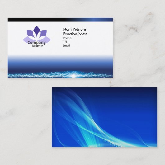 Carte de visite bleu pour un professionnel 名刺 (正面/裏面)