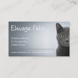 Carte de visite chat, élevage félin 名刺