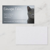 Carte de visite chat, élevage félin 名刺 (正面/裏面)