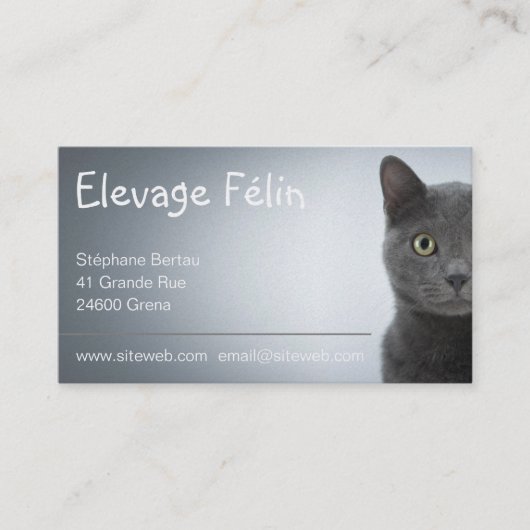 Carte de visite chat, élevage félin 名刺 (正面)