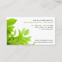 Carte de visite environnement et nature. Ton vert 名刺