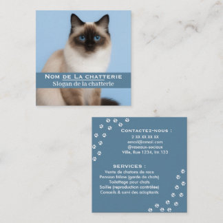 Carte de visite personnalisée chatterie élégante スクエア名刺