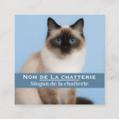 Carte de visite personnalisée chatterie élégante スクエア名刺 (正面)