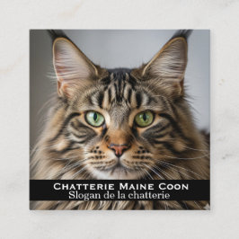 Carte de visite personnalisée Chatterie Maine Coon スクエア名刺