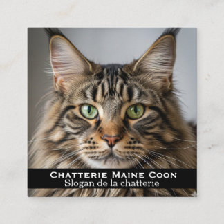 Carte de visite personnalisée Chatterie Maine Coon スクエア名刺