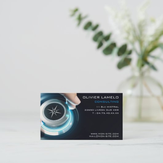 Carte de visite professionnelle consultant 名刺 (スタンド正面)