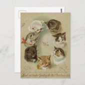 Carte de voeux Noël chats ポストカード (正面/裏面)