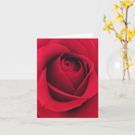 Carte de vœux pliées カード (黄色い花)