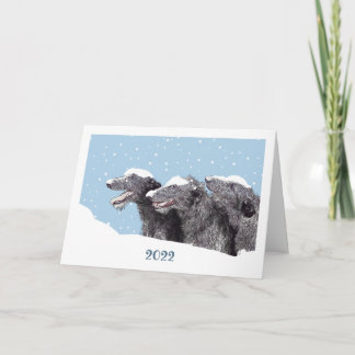 Carte double pour fêtes annuelles シーズンカード