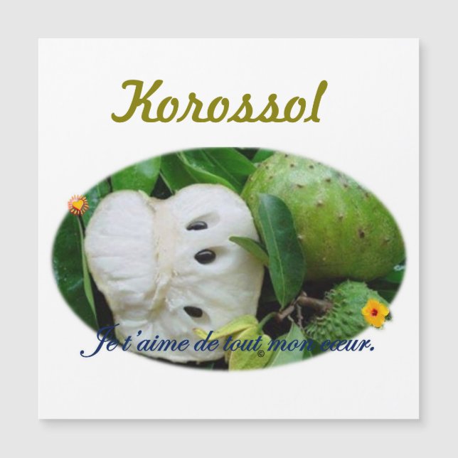 Carte magnétique (正面)