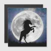 Carte magnétique Le cheval et la lune blanche (正面/裏面)