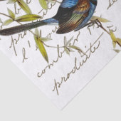 Carte Postaleスクリプトフランスのバードバタフライヴィンテージ 薄葉紙 (詳細)