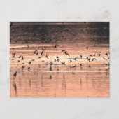 Carte postale ポストカード (正面)