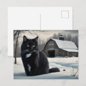 Carte Postale Black Cat Série 2 02 ポストカード (正面/裏面)