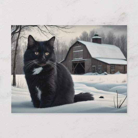 Carte Postale Black Cat Série 2 02 ポストカード (正面)