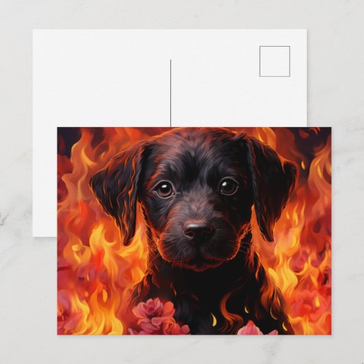 Carte Postale Canine Ardente" ポストカード (正面/裏面)