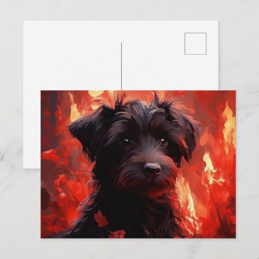 Carte Postale Canine Brûlante ポストカード (正面/裏面)