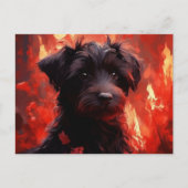 Carte Postale Canine Brûlante ポストカード (正面)