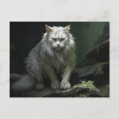 Carte postale Chat Foret ポストカード (正面)