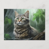 Carte postale Chat Foret 3 ポストカード (正面)