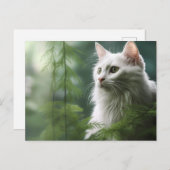 Carte postale Chat Foret 7 ポストカード (正面/裏面)