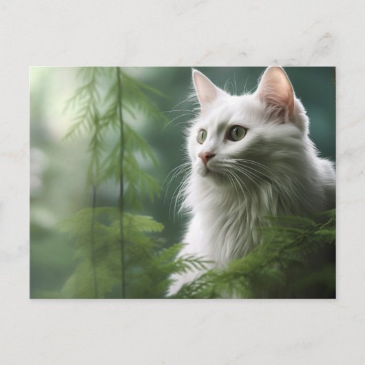 Carte postale Chat Foret 7 ポストカード (正面)