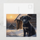 Carte postale Chien 5-0 ポストカード (正面/裏面)