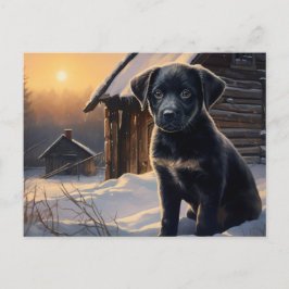 Carte postale Chien 5-0 ポストカード