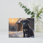 Carte postale Chien 5-0 ポストカード (スタンド正面)