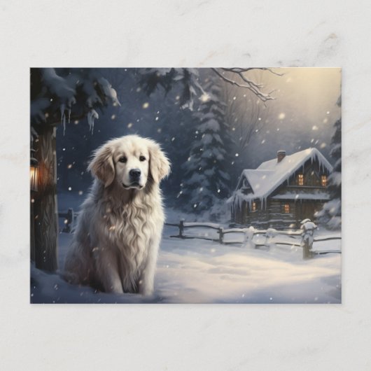 Carte postale Chien 5-10 ポストカード (正面)