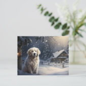 Carte postale Chien 5-10 ポストカード (スタンド正面)