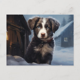 Carte postale Chien 5-15 ポストカード