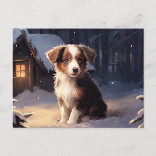 Carte postale Chien 5-16 ポストカード (正面)