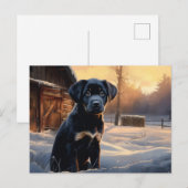 Carte postale Chien 5-3 ポストカード (正面/裏面)