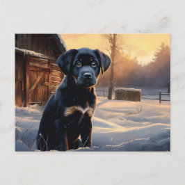 Carte postale Chien 5-3 ポストカード