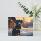 Carte postale Chien 5-3 ポストカード (スタンド正面)