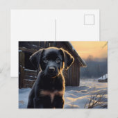 Carte postale Chien 5-5 ポストカード (正面/裏面)