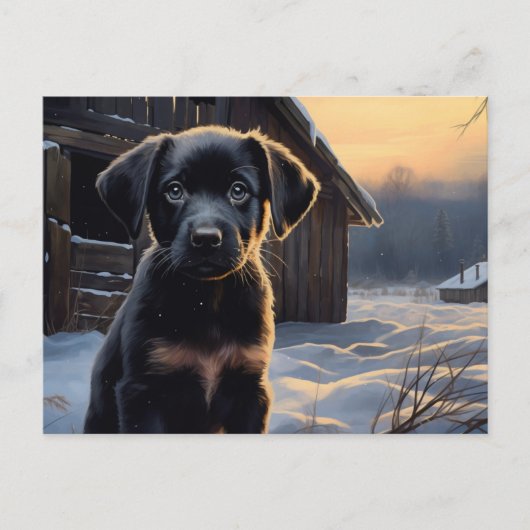 Carte postale Chien 5-5 ポストカード (正面)