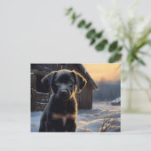 Carte postale Chien 5-5 ポストカード (スタンド正面)