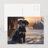 Carte postale Chien 5-6 ポストカード (正面/裏面)