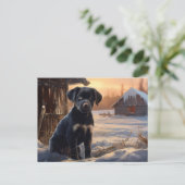 Carte postale Chien 5-6 ポストカード (スタンド正面)