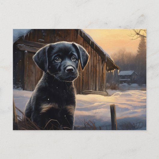 Carte postale Chien 5-8 ポストカード (正面)