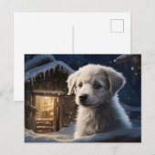 Carte postale Chien 5-9 ポストカード (正面/裏面)