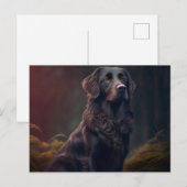 Carte Postale Chien Divers ポストカード (正面/裏面)