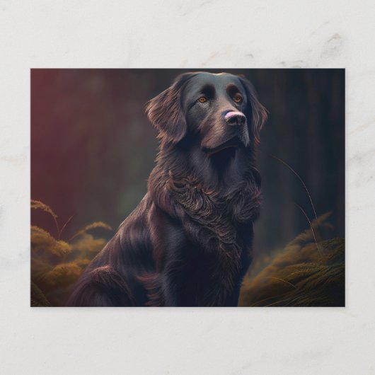 Carte Postale Chien Divers ポストカード (正面)