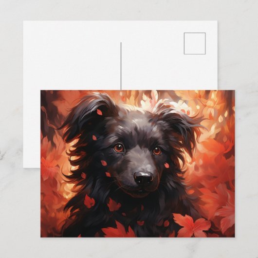 Carte Postale Chien Flamboyant ポストカード (正面/裏面)