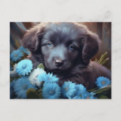 Carte Postale Chien Fleur Bleu ポストカード (正面)