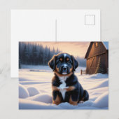 Carte Postale Chien Série 6 07 ポストカード (正面/裏面)