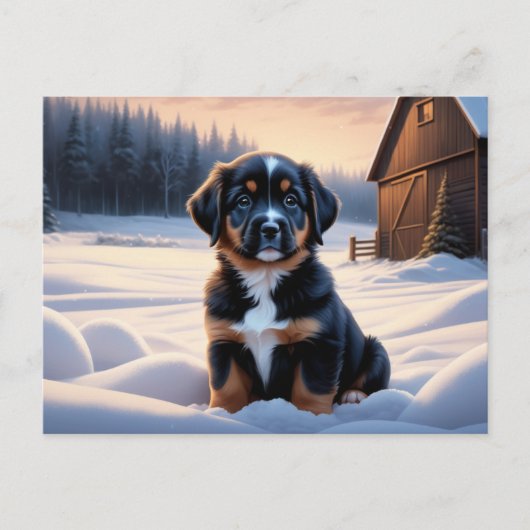 Carte Postale Chien Série 6 07 ポストカード (正面)