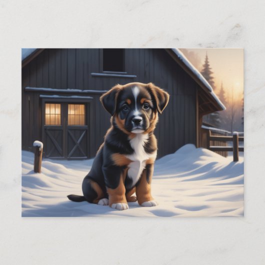 Carte Postale Chien Série 6 09 ポストカード (正面)